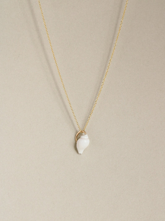 Petite Shell Necklace