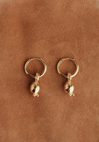 Anthos Hoops