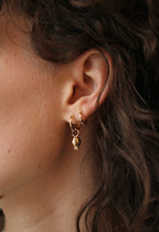 Anthos Hoops