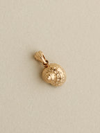 Shell Charm