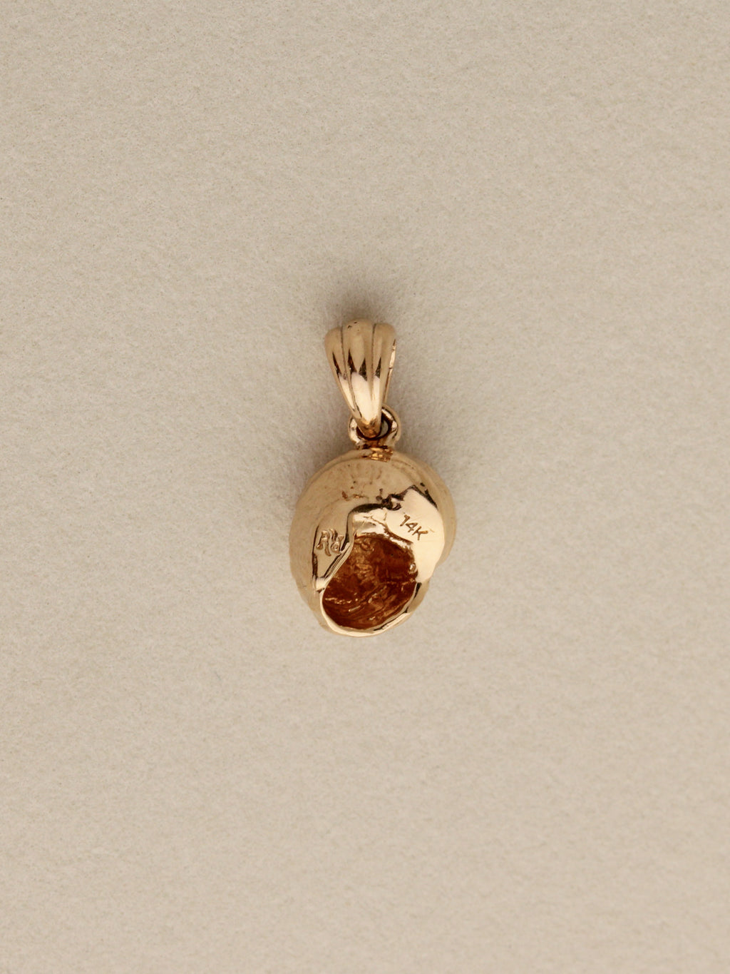 Shell Charm