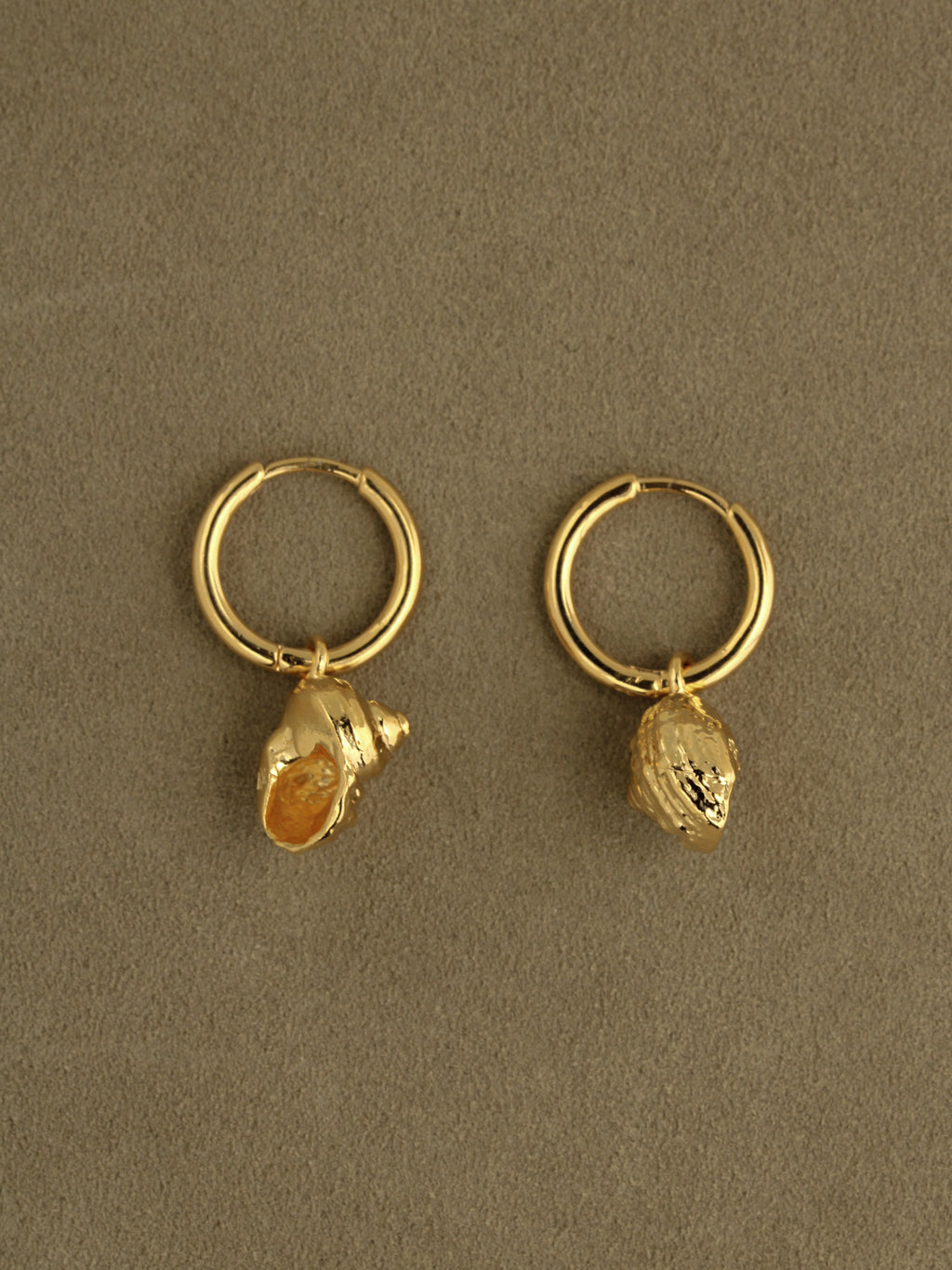 Shell Charm Hoops