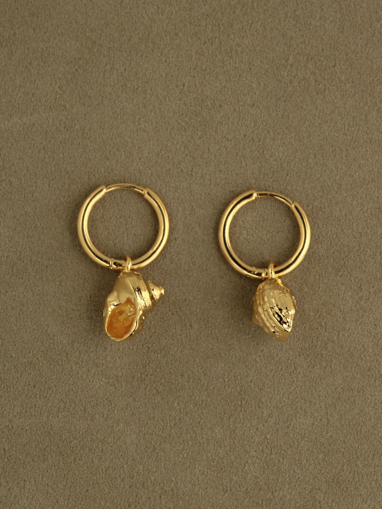 Shell Charm Hoops