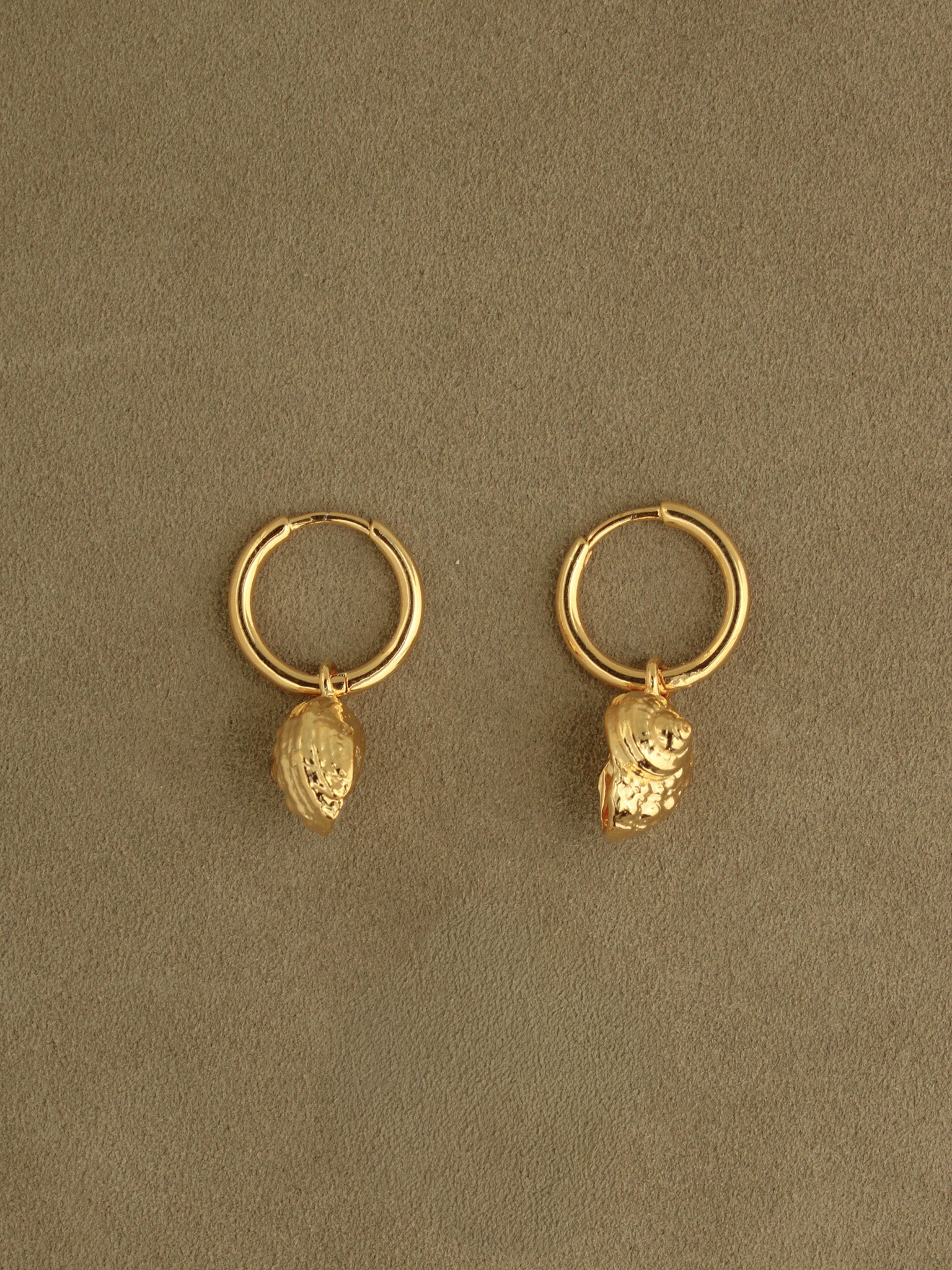 Shell Charm Hoop Samples