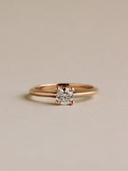 Simple Prong Setting