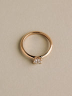 Simple Prong Setting