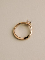 Simple Prong Setting