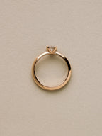 Simple Prong Setting