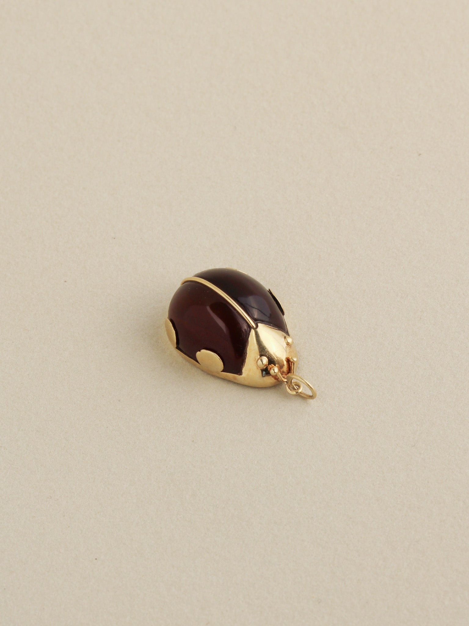 Ladybug Charm