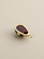 Ladybug Charm
