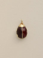 Ladybug Charm