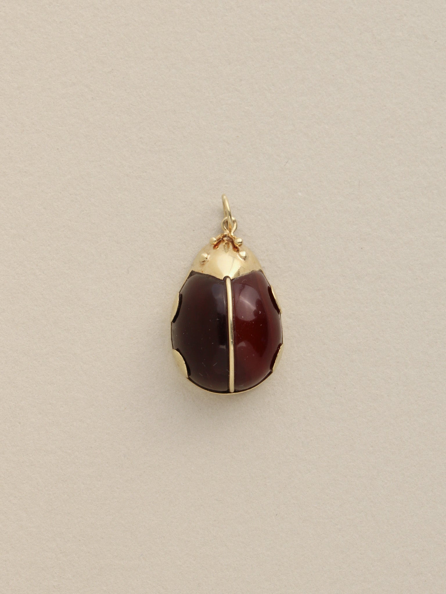 Ladybug Charm