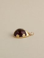 Ladybug Charm