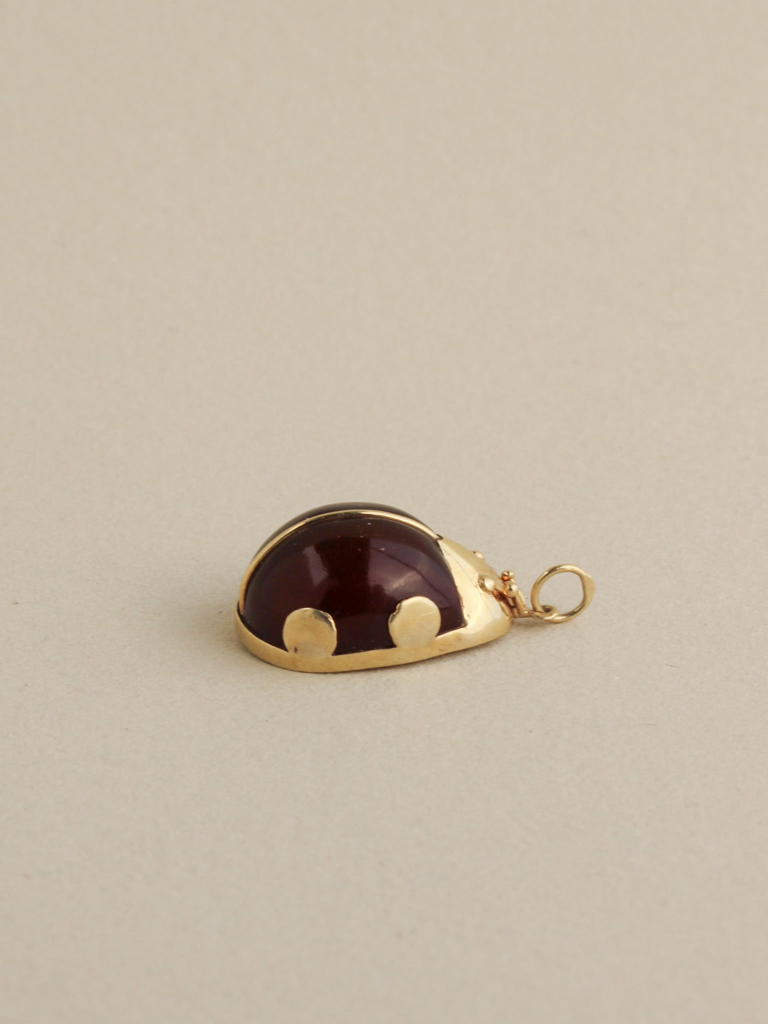 Ladybug Charm