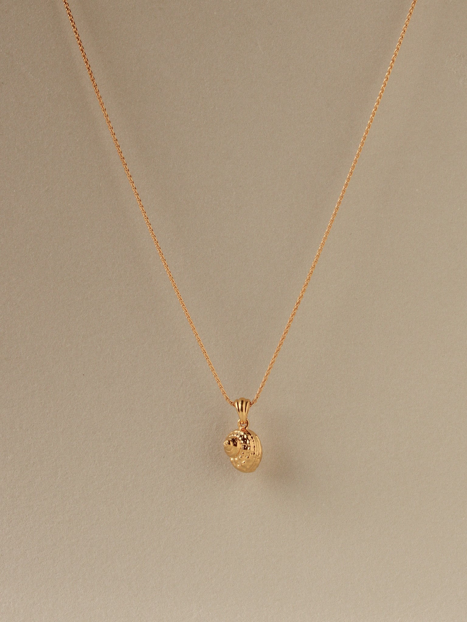 Shell Necklace