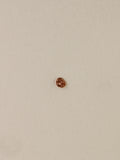Hammered Scrap Studs