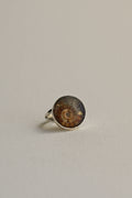 Ammonite Ring