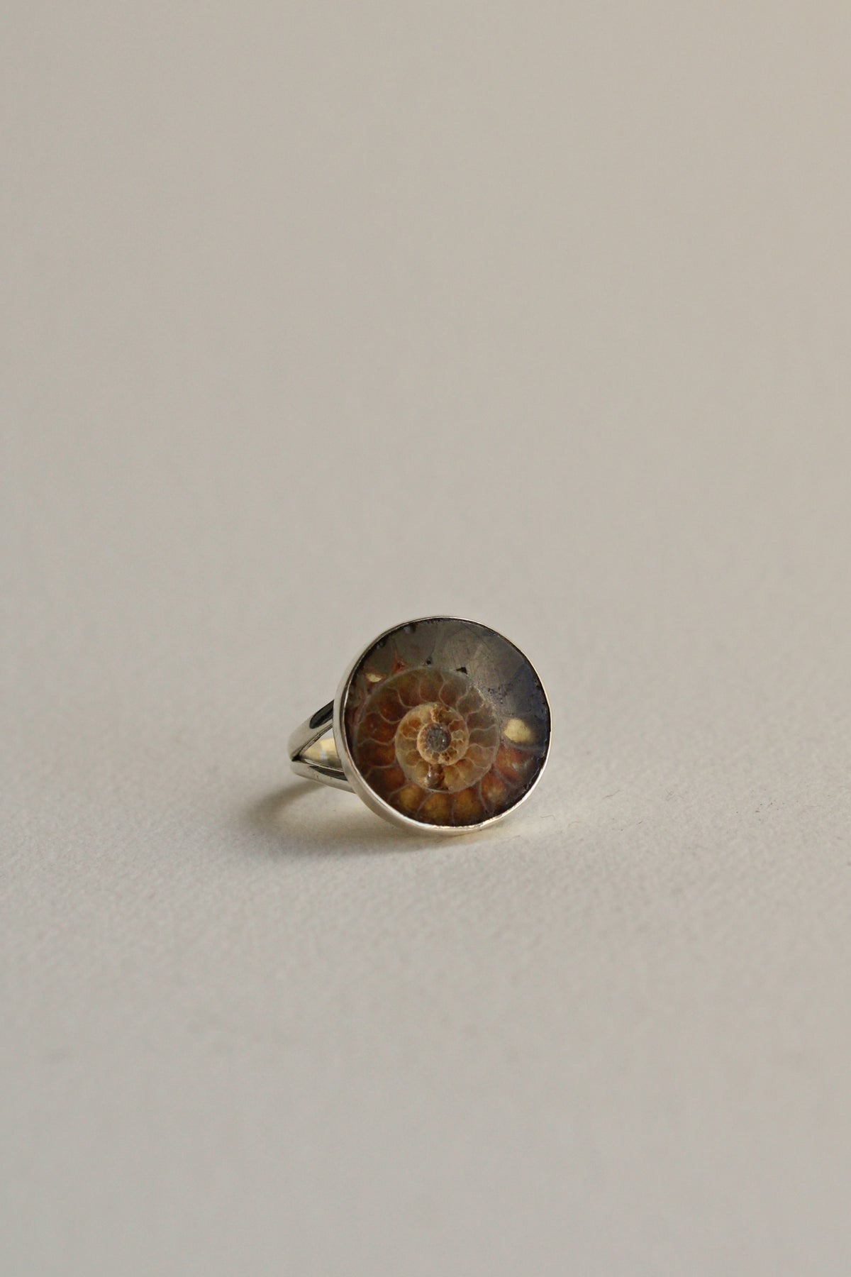 Ammonite Ring