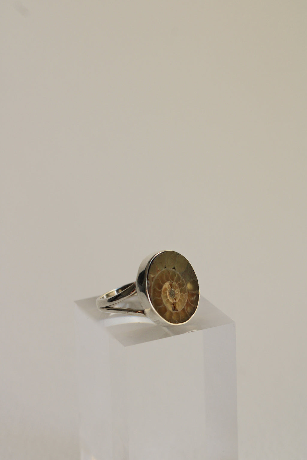 Ammonite Ring