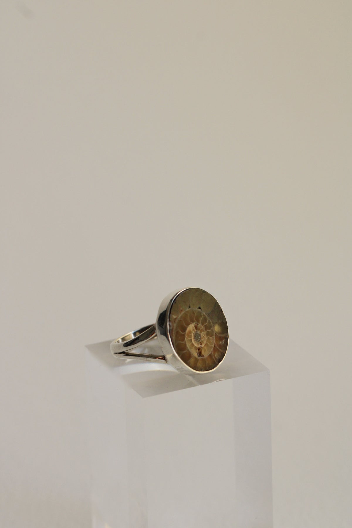 Ammonite Ring